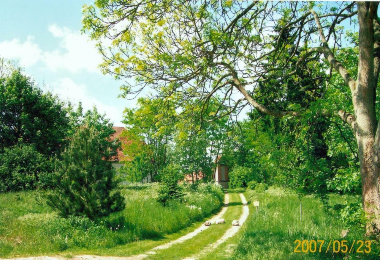 Апартаменти Gutshaus Alt-Jargenow Alt Jargenow Екстер'єр фото